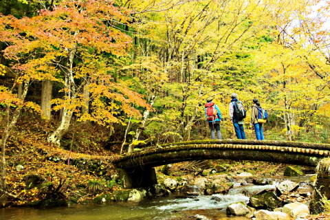 Japan tourism blossoms at Arabian Travel Market 2019